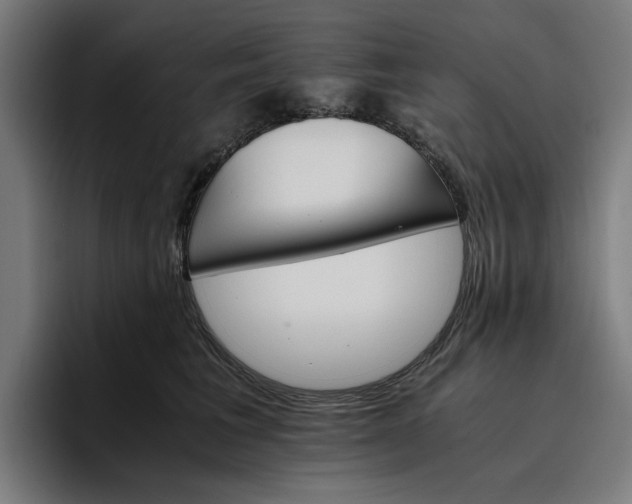 X0000096700613200802191449