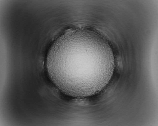 X0000096700615200802191449