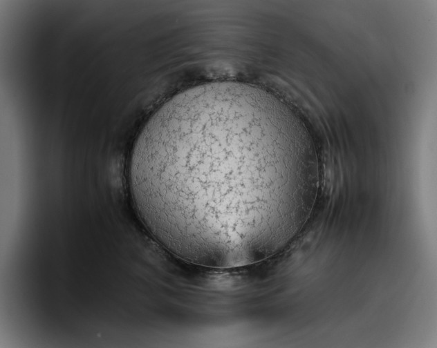 X0000096700616200802191449
