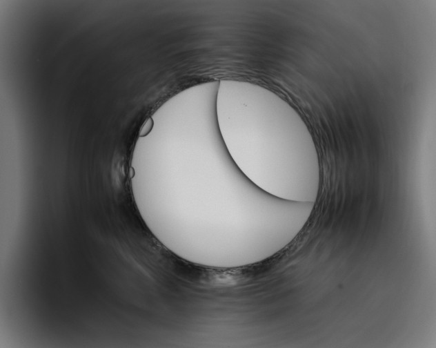 X0000096700618200802191449