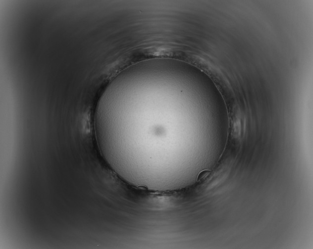 X0000096700620200802191449