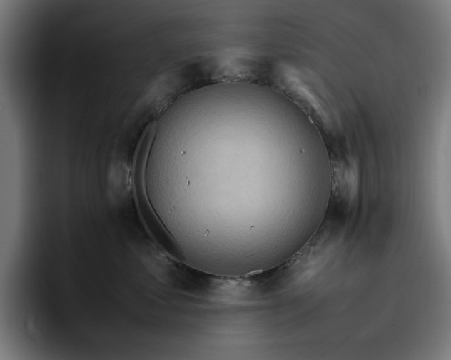 X0000096700621200802191449