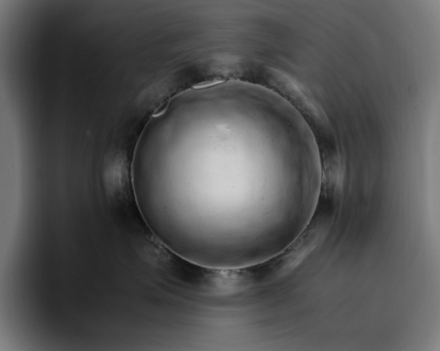 X0000096700623200802191449