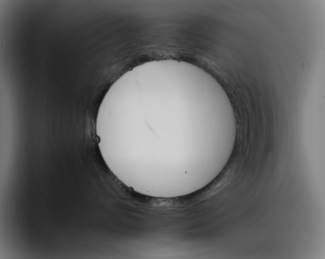 X0000096700624200802191449