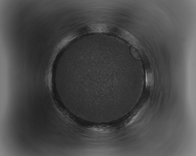 X0000096700627200802191449