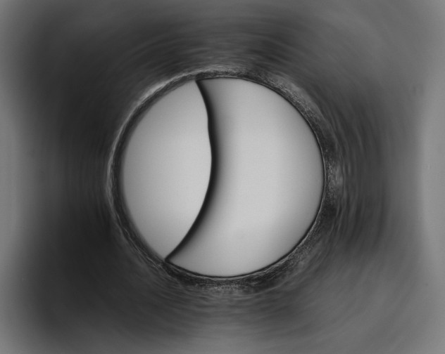 X0000096700628200802191449