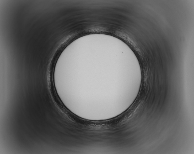 X0000096700629200802191449