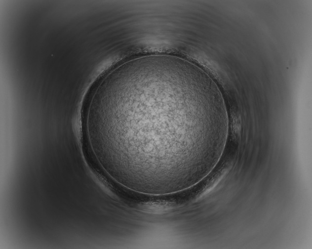 X0000096700630200802191449