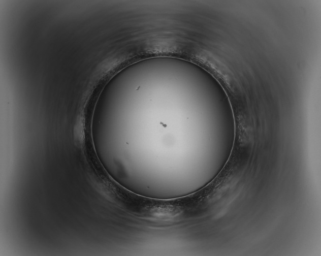 X0000096700631200802191449