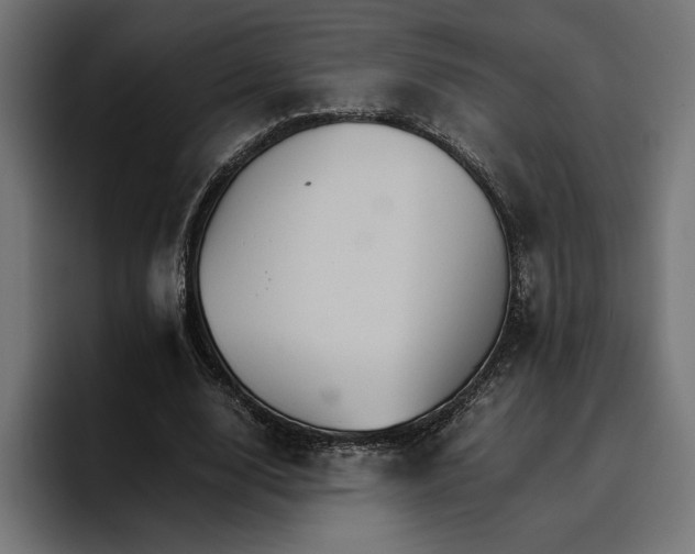 X0000096700632200802191449