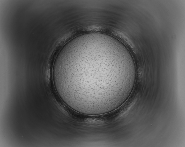 X0000096700633200802191449