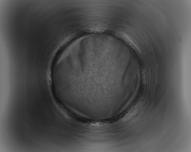 X0000096700634200802191449