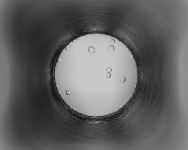 X0000096700635200802191449