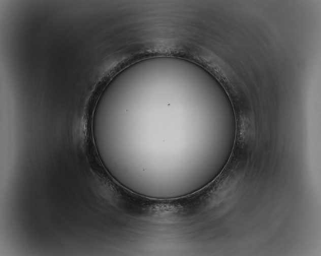 X0000096700636200802191449