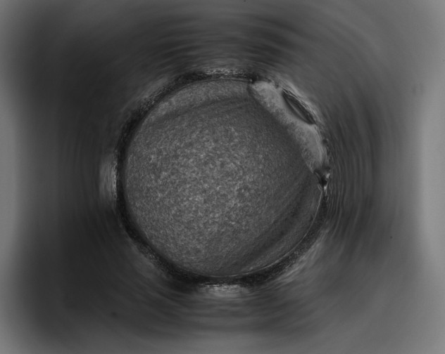 X0000096700637200802191449