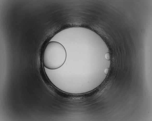 X0000096700638200802191449