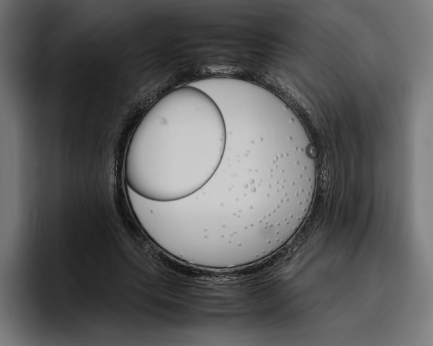 X0000096700639200802191449