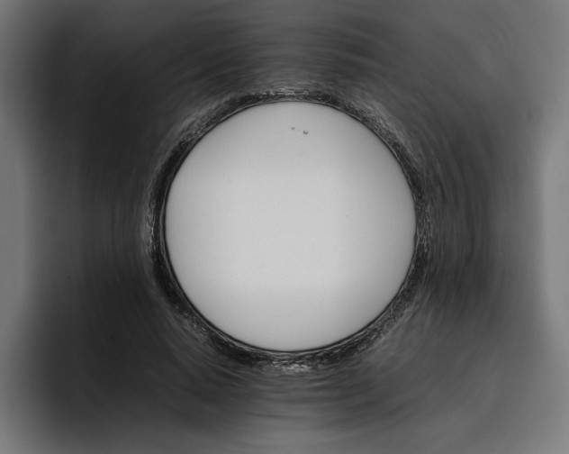 X0000096700640200802191449