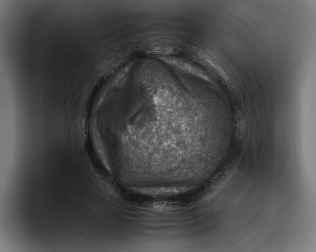 X0000096700641200802191449