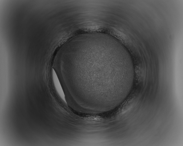 X0000096700642200802191449
