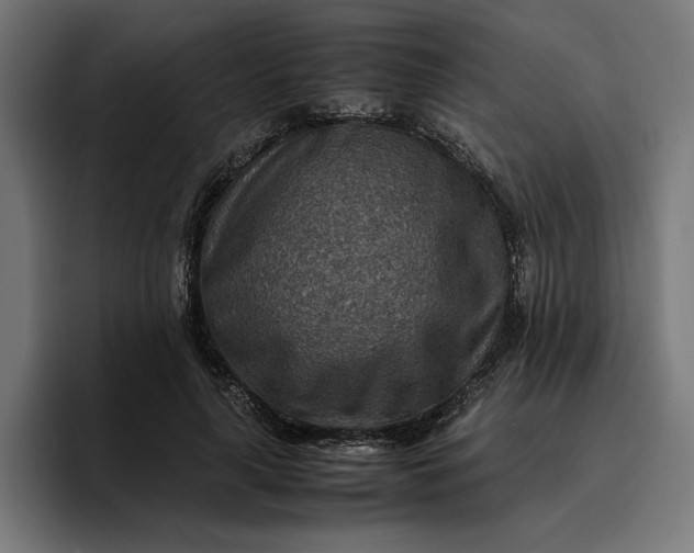X0000096700643200802191449