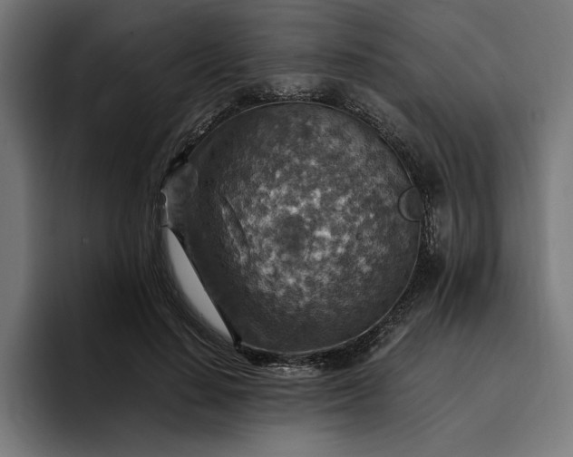 X0000096700644200802191449