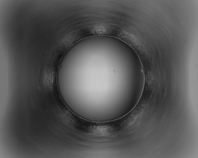 X0000096700645200802191449