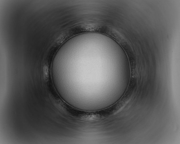 X0000096700646200802191449