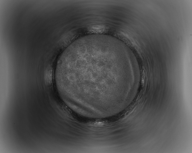 X0000096700647200802191449