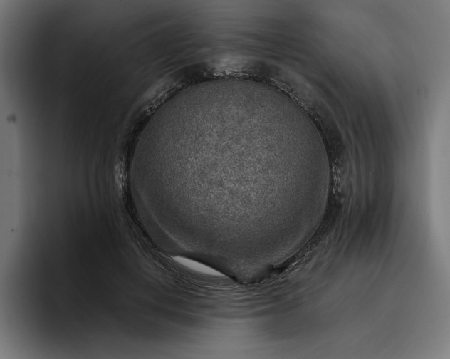 X0000096700648200802191449