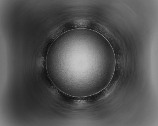 X0000096700649200802191449