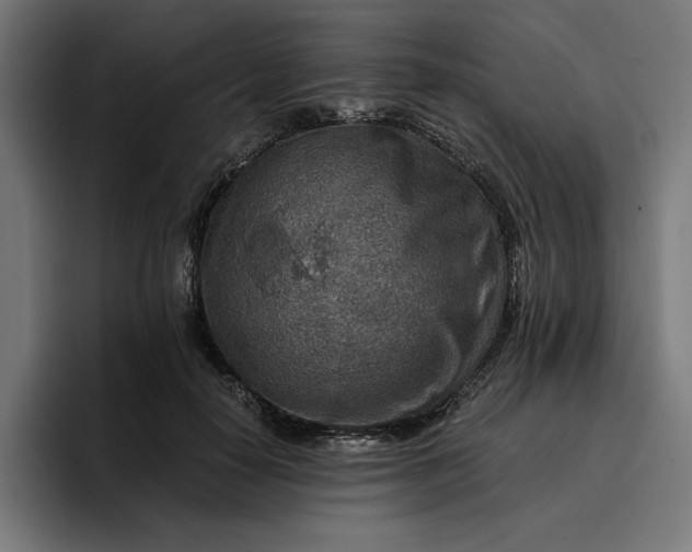 X0000096700650200802191449