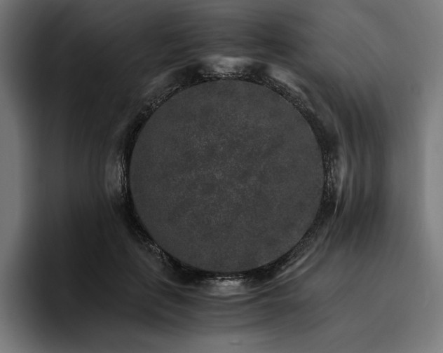 X0000096700651200802191449