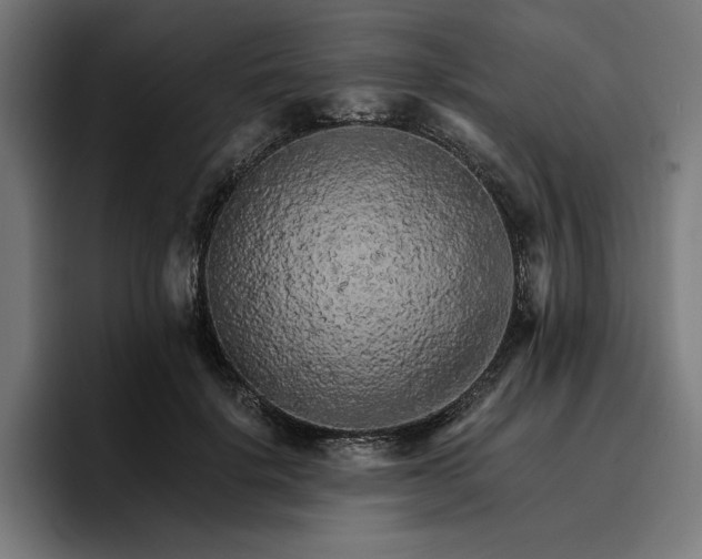 X0000096700652200802191449