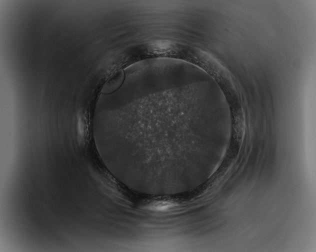 X0000096700653200802191449
