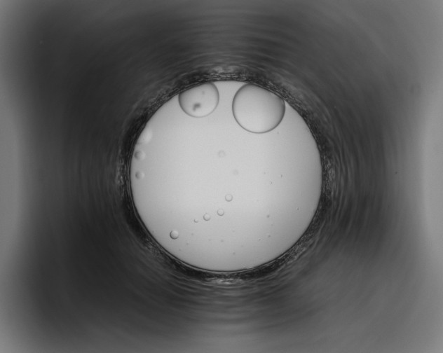 X0000096700654200802191449