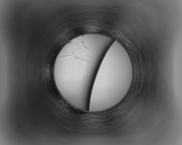 X0000096700655200802191449