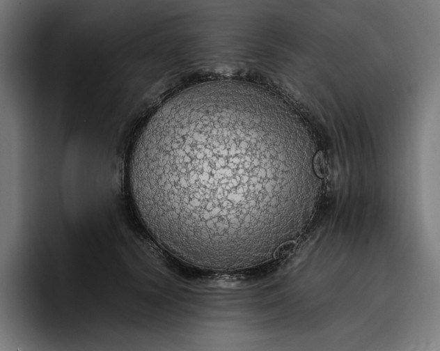 X0000096700656200802191449