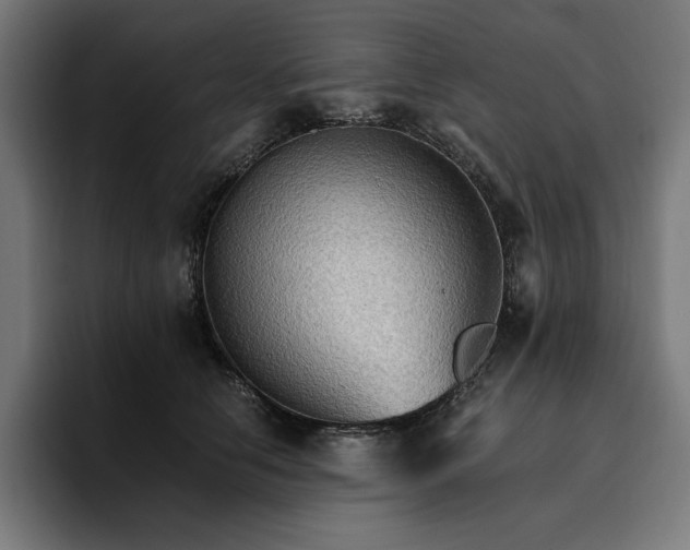 X0000096700658200802191449