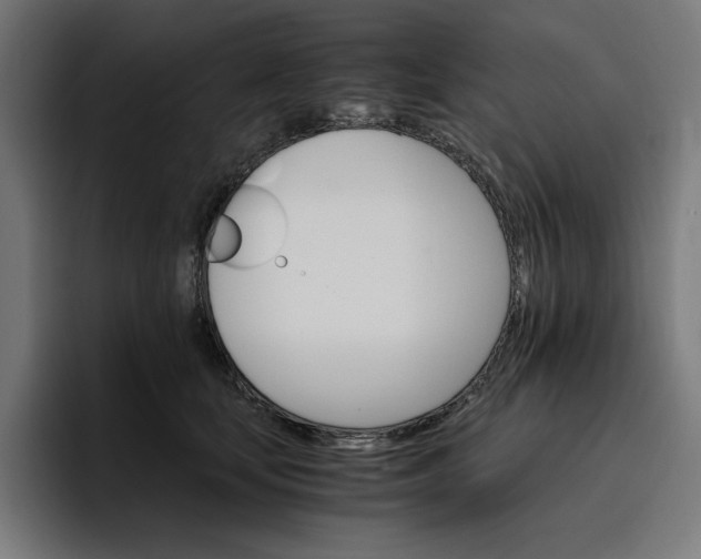 X0000096700659200802191449