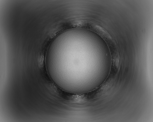 X0000096700660200802191449