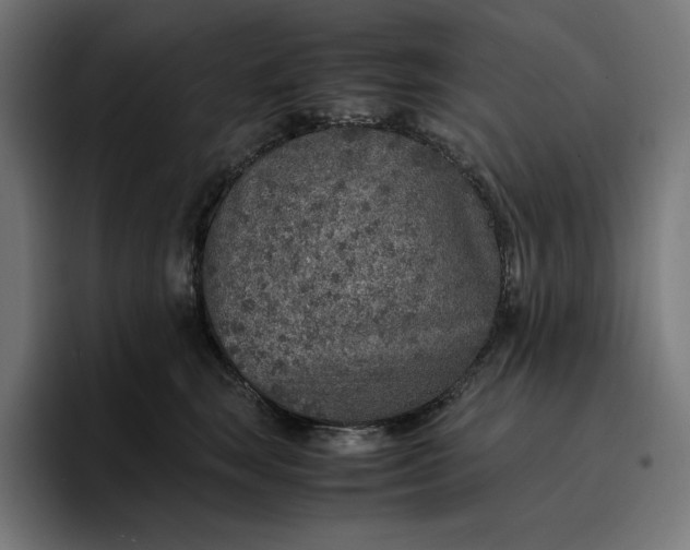 X0000096700663200802191449