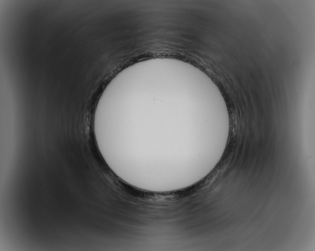 X0000096700664200802191449