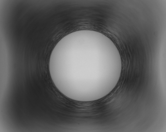 X0000096700665200802191449