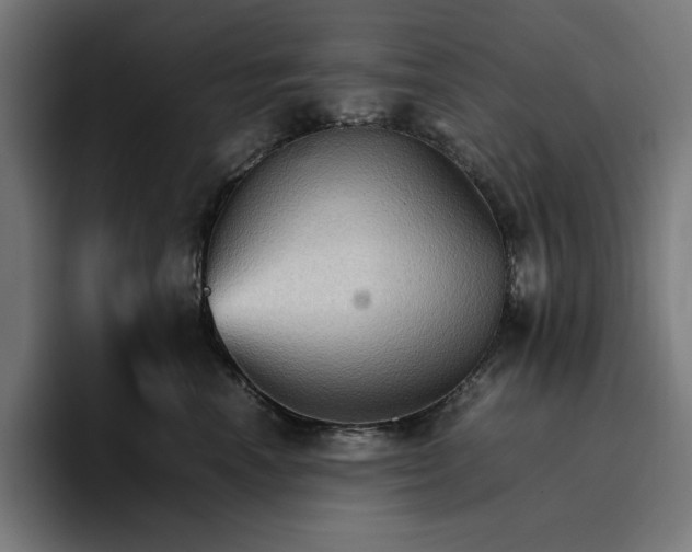 X0000096700666200802191449