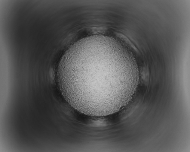 X0000096700667200802191449