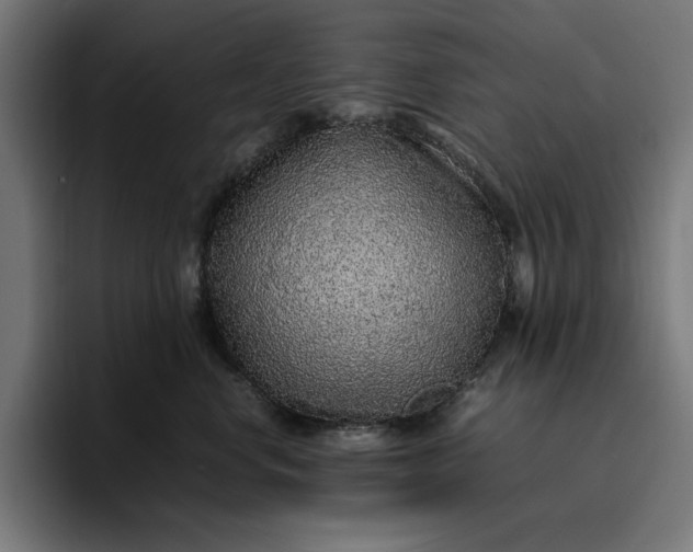 X0000096700668200802191449