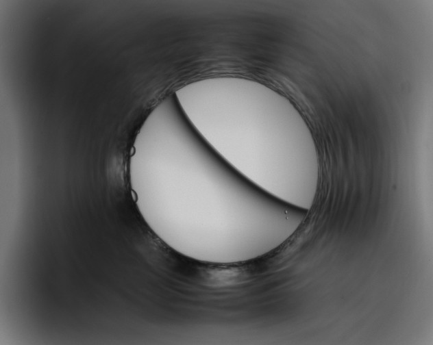 X0000096700669200802191449