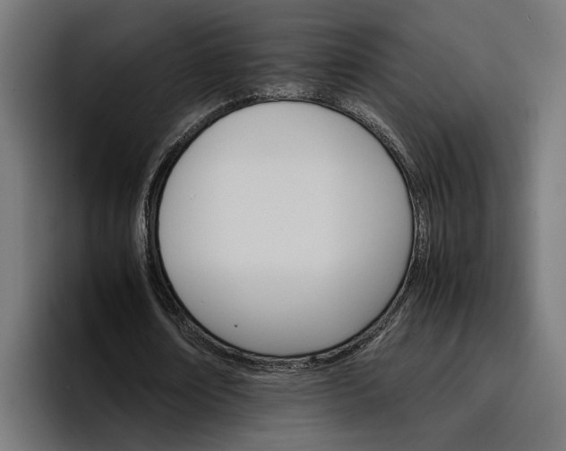 X0000096700674200802191449