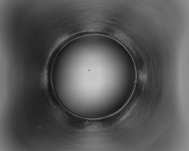 X0000096700676200802191449